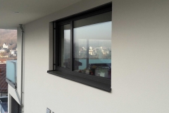 Holz-Alu-Fenster001